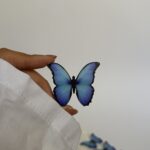 ایموجی پروانه